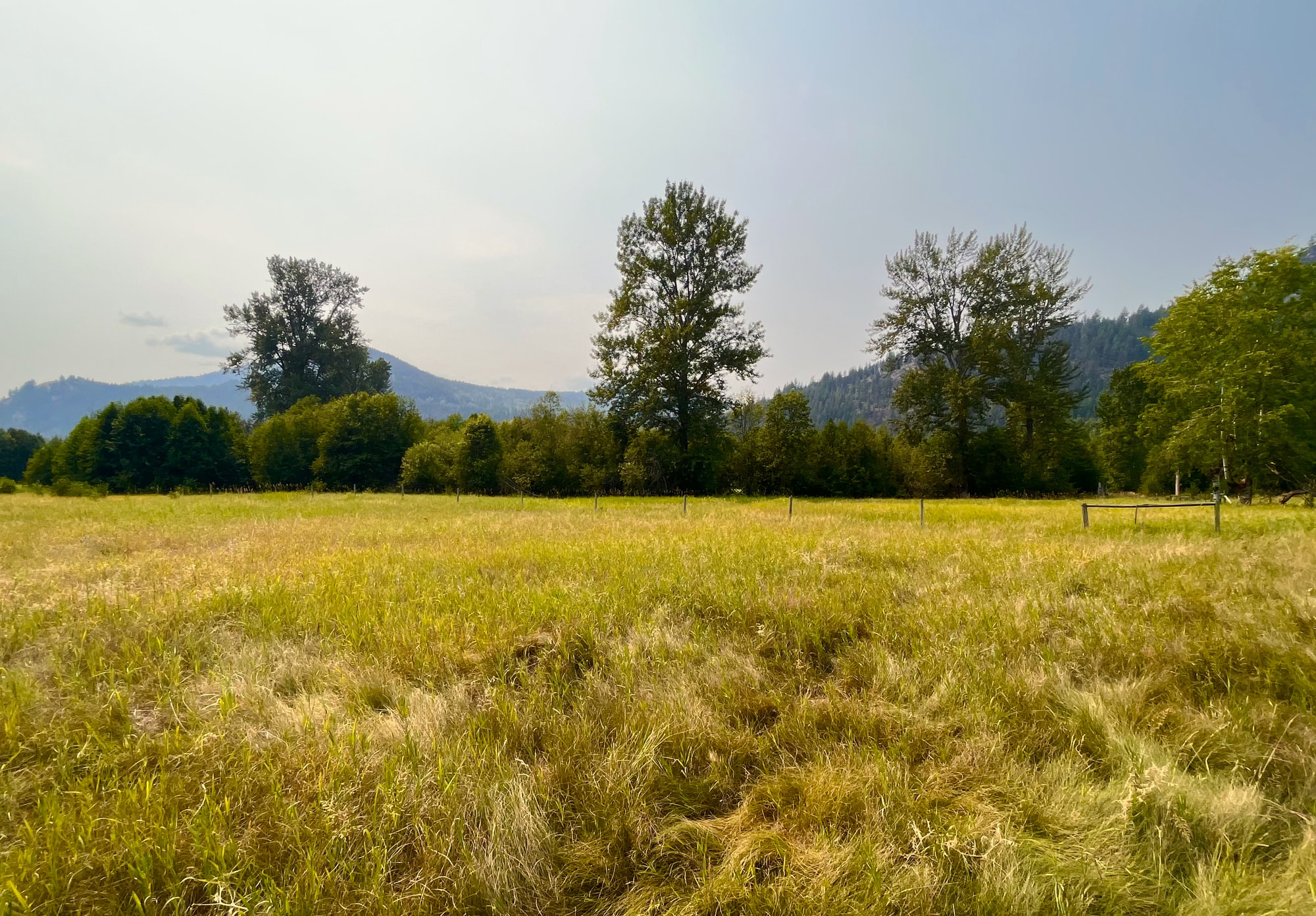 Hay fields