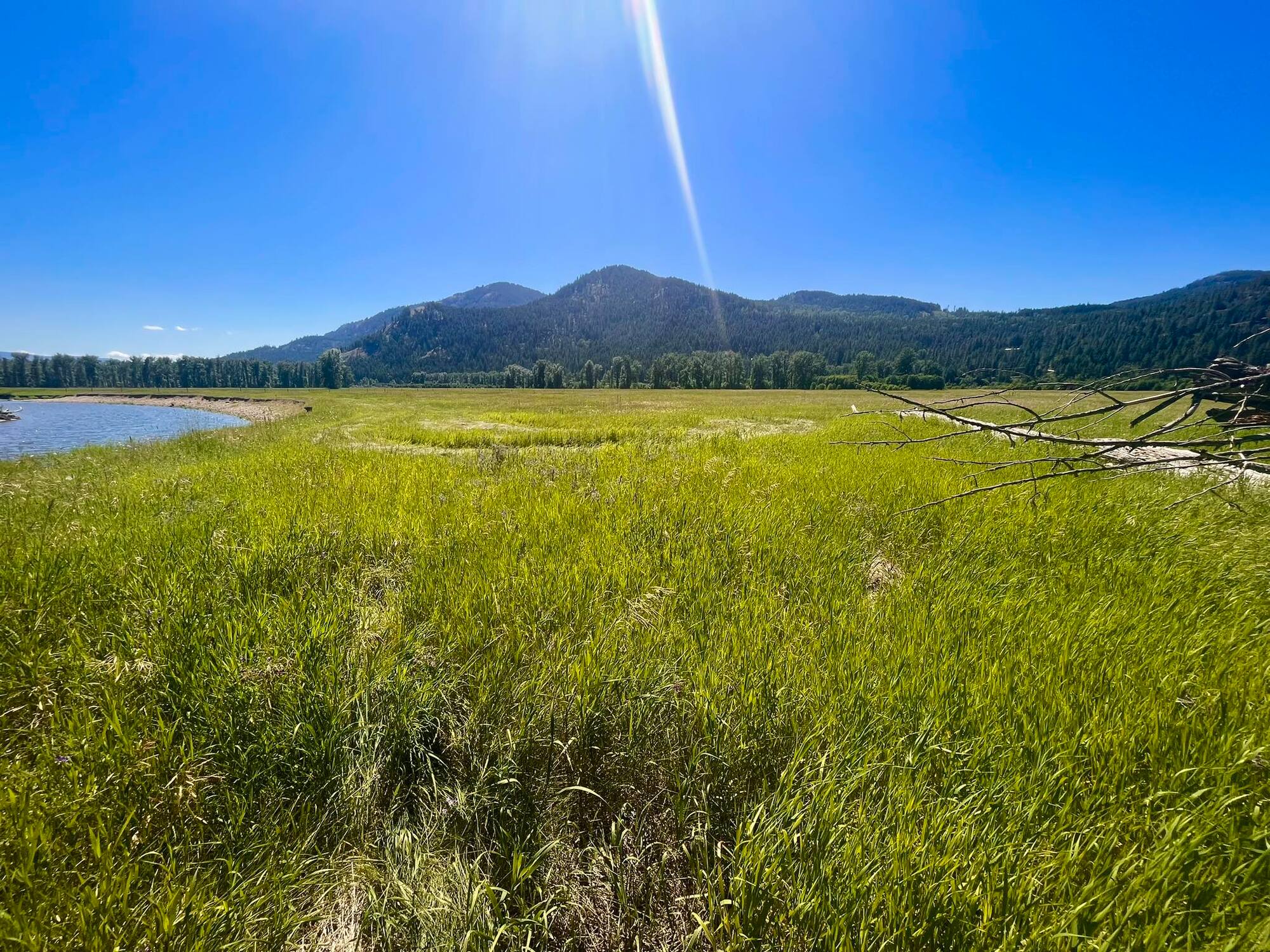 Lush green fields at O'Neill Ranch